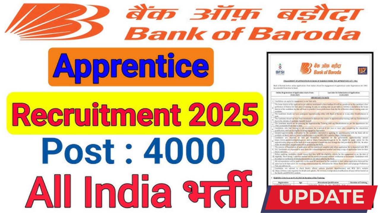 Bank of baroda apprentice vacancy